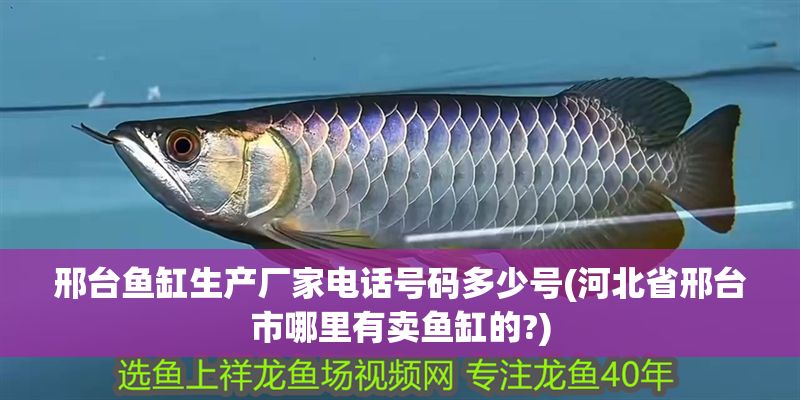 邢臺魚缸生產廠家電話號碼多少號(河北省邢臺市哪里有賣魚缸的?)