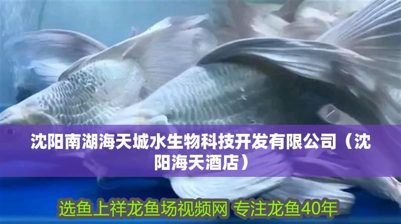沈陽南湖海天城水生物科技開發有限公司（沈陽海天酒店）