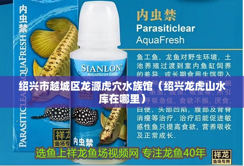 紹興市越城區龍源虎穴水族館（紹興龍虎山水庫在哪里）
