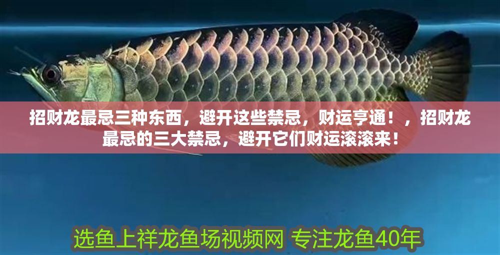 招財龍最忌三種東西，避開這些禁忌，財運(yùn)亨通！，招財龍最忌的三大禁忌，避開它們財運(yùn)滾滾來！