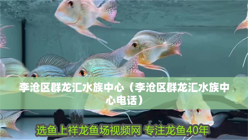 李滄區(qū)群龍匯水族中心（李滄區(qū)群龍匯水族中心電話）