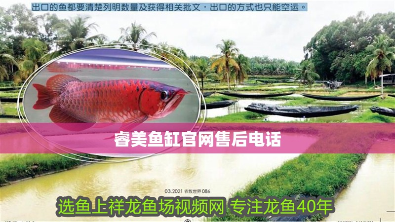 睿美魚缸官網售后電話