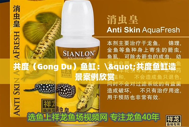 共度（Gong Du）魚缸：\"共度魚缸造景案例欣賞 共度（Gong Du）魚缸：\"共度魚缸造景案例欣賞 魚缸百科