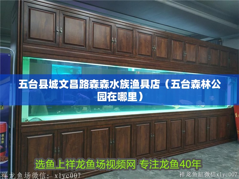 五臺(tái)縣城文昌路森森水族漁具店（五臺(tái)森林公園在哪里）