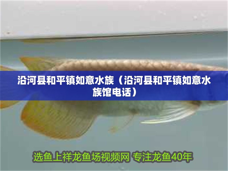 沿河縣和平鎮(zhèn)如意水族（沿河縣和平鎮(zhèn)如意水族館電話）