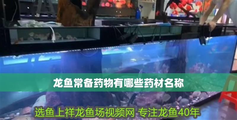 龍魚常備藥物有哪些藥材名稱 龍魚常備藥物有哪些藥材名稱 龍魚百科 第2張