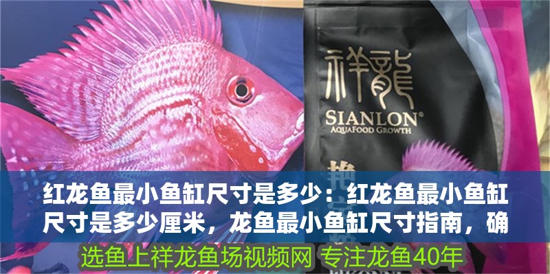 紅龍魚最小魚缸尺寸是多少：紅龍魚最小魚缸尺寸是多少厘米，龍魚最小魚缸尺寸指南，確定適宜的尺寸以保持其