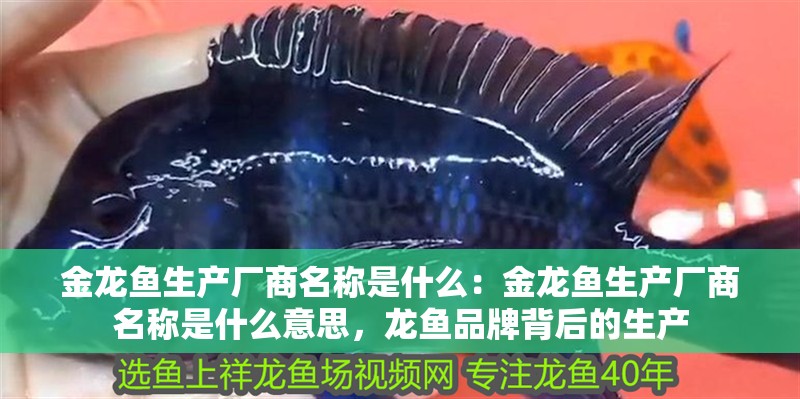 金龍魚生產廠商名稱是什么：金龍魚生產廠商名稱是什么意思，龍魚品牌背后的生產