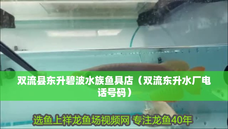 雙流縣東升碧波水族魚具店（雙流東升水廠電話號碼）