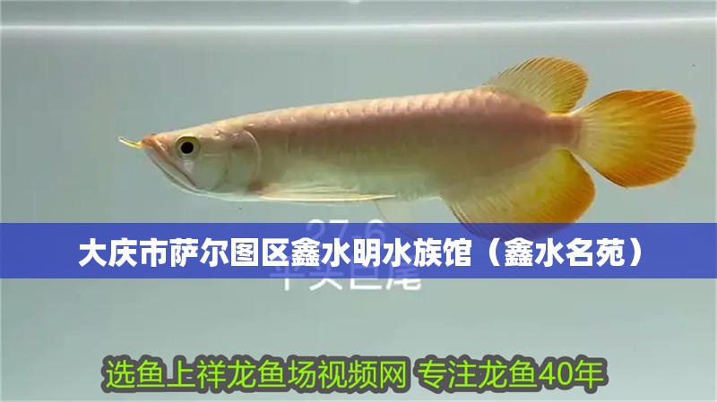 大慶市薩爾圖區(qū)鑫水明水族館（鑫水名苑） 大慶市薩爾圖區(qū)鑫水明水族館（鑫水名苑） 全國水族館企業(yè)名錄 第2張