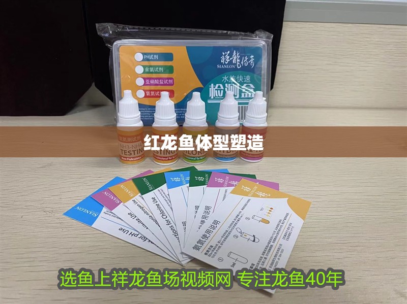 紅龍魚體型塑造