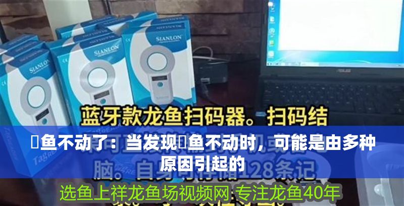 魟魚不動(dòng)了：當(dāng)發(fā)現(xiàn)魟魚不動(dòng)時(shí)，可能是由多種原因引起的