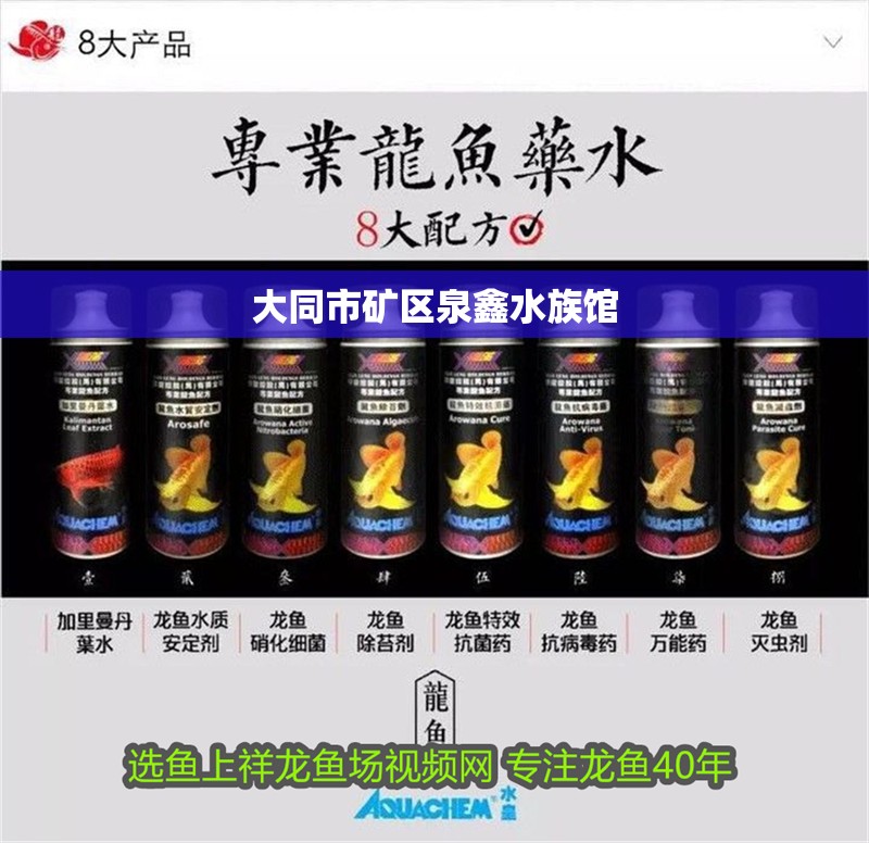 大同市礦區(qū)泉鑫水族館