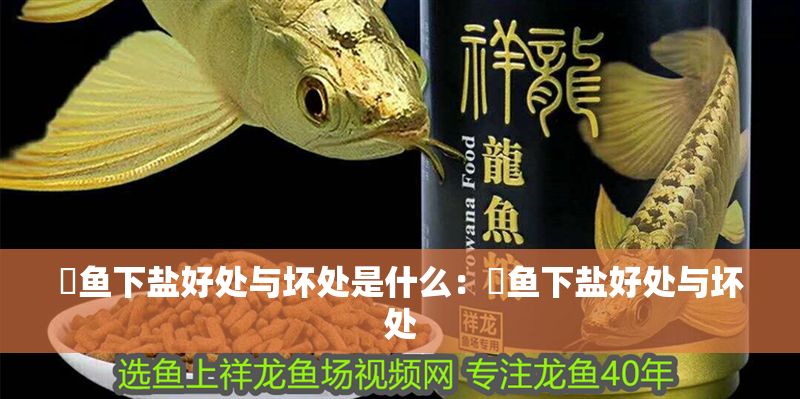 魟魚下鹽好處與壞處是什么：魟魚下鹽好處與壞處