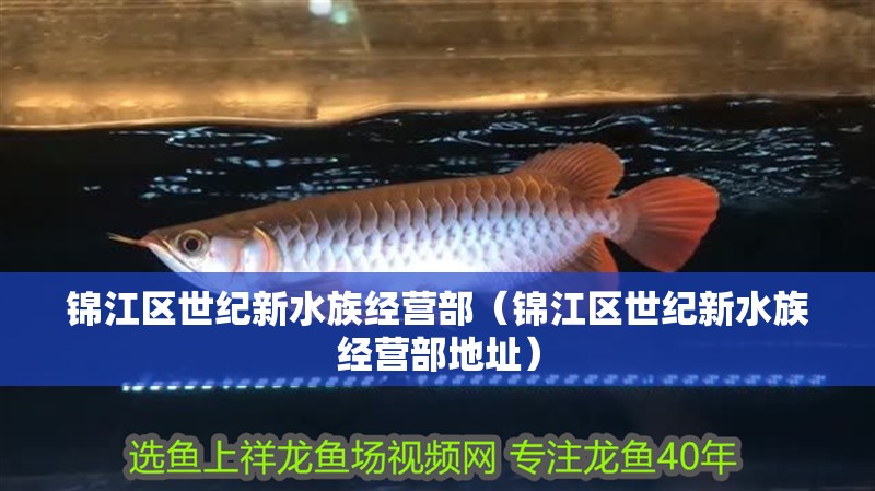 錦江區世紀新水族經營部（錦江區世紀新水族經營部地址） 錦江區世紀新水族經營部（錦江區世紀新水族經營部地址） 全國水族館企業名錄 第2張