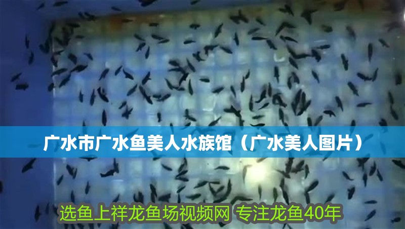 廣水市廣水魚美人水族館（廣水美人圖片）