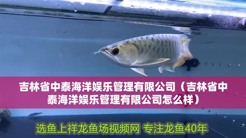 吉林省中泰海洋娛樂管理有限公司（吉林省中泰海洋娛樂管理有限公司怎么樣）