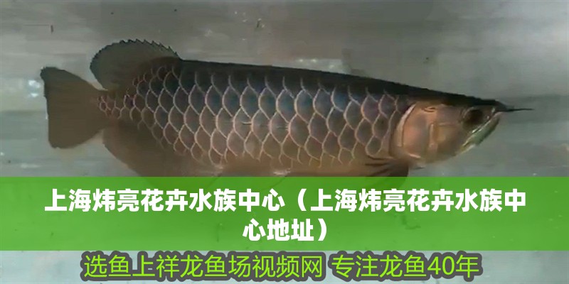 上海煒亮花卉水族中心（上海煒亮花卉水族中心地址）