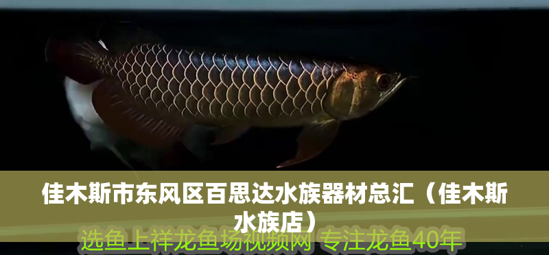 佳木斯市東風區百思達水族器材總匯（佳木斯水族店）