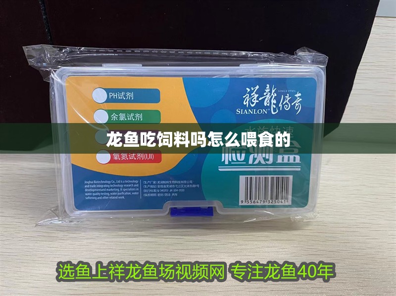 龍魚吃飼料嗎怎么喂食的