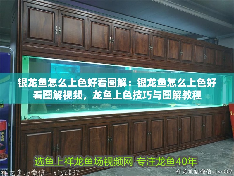 銀龍魚(yú)怎么上色好看圖解：銀龍魚(yú)怎么上色好看圖解視頻，龍魚(yú)上色技巧與圖解教程