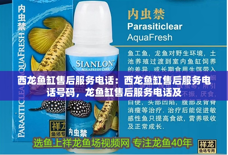 西龍魚缸售后服務電話：西龍魚缸售后服務電話號碼，龍魚缸售后服務電話及