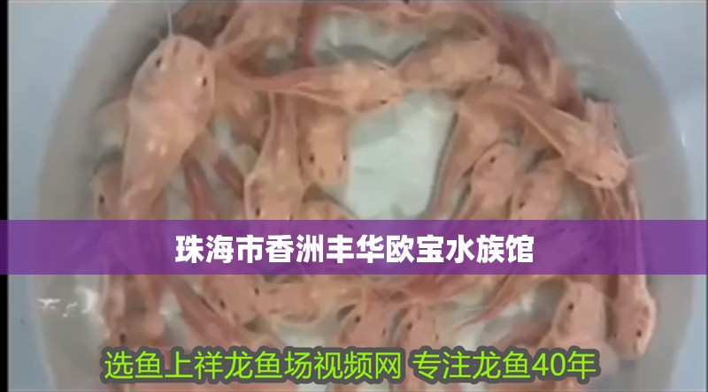 珠海市香洲豐華歐寶水族館 珠海市香洲豐華歐寶水族館 全國水族館企業名錄 第2張