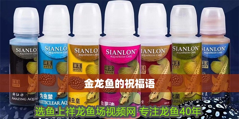 金龍魚的祝福語 龍魚百科 第2張 金龍魚的祝福語 金龍魚的祝福語 龍魚百科 第2張