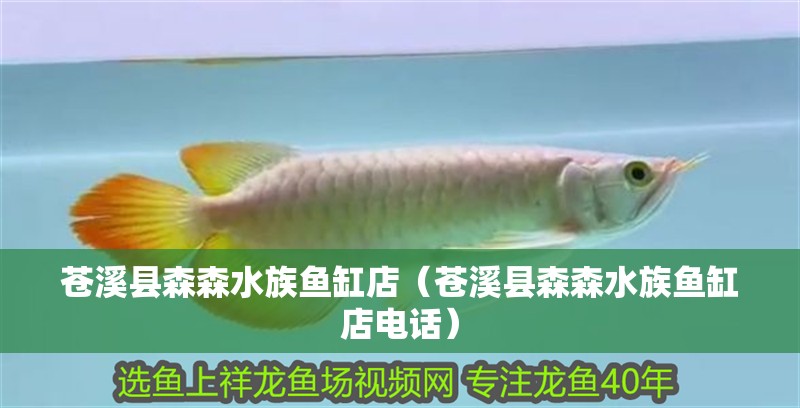 蒼溪縣森森水族魚缸店（蒼溪縣森森水族魚缸店電話） 蒼溪縣森森水族魚缸店（蒼溪縣森森水族魚缸店電話） 全國水族館企業名錄 第4張