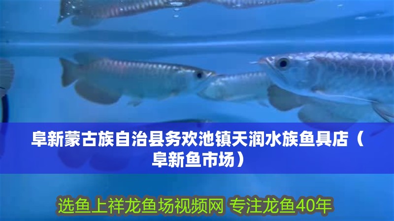 阜新蒙古族自治縣務歡池鎮天潤水族魚具店（阜新魚市場） 阜新蒙古族自治縣務歡池鎮天潤水族魚具店（阜新魚市場） 全國水族館企業名錄 第2張
