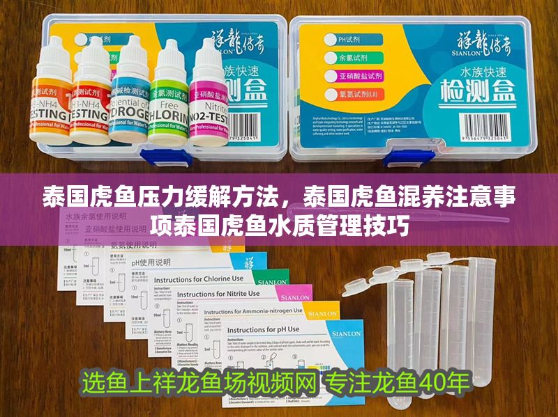 泰國虎魚壓力緩解方法，泰國虎魚混養注意事項泰國虎魚水質管理技巧