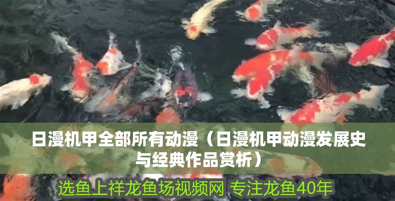 什么魚能和龍魚、虎魚混養(yǎng)(龍魚能和虎魚混養(yǎng)嗎) 日漫機(jī)甲全部所有動(dòng)漫(日漫機(jī)甲動(dòng)漫發(fā)展史與經(jīng)典作品賞析) 龍魚論壇 日漫機(jī)甲全部所有動(dòng)漫(日漫機(jī)甲動(dòng)漫發(fā)展史與經(jīng)典作品賞析) 日漫機(jī)甲全部所有動(dòng)漫(日漫機(jī)甲動(dòng)漫發(fā)展史與經(jīng)典作品賞析) 龍魚論壇