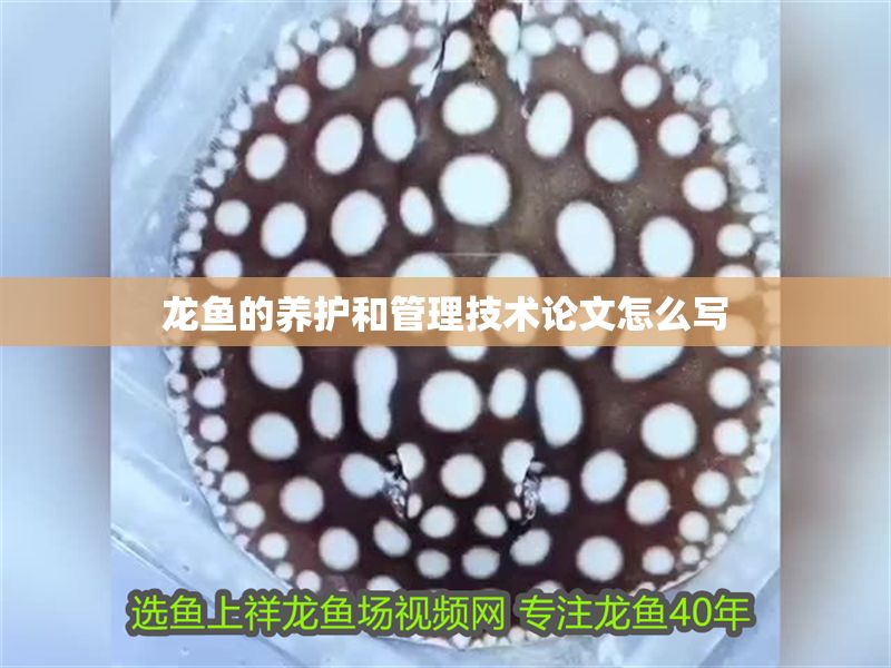 龍魚的養護和管理技術論文怎么寫