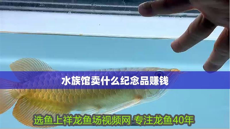 水族館賣什么紀念品賺錢 水族館百科(水族館加盟) 第1張 水族館賣什么紀念品賺錢 水族館賣什么紀念品賺錢 水族館百科(水族館加盟) 第1張