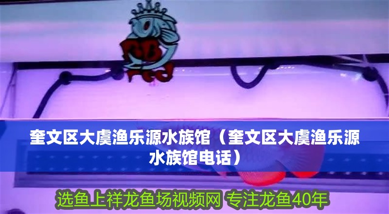 奎文區(qū)大虞漁樂源水族館（奎文區(qū)大虞漁樂源水族館電話）