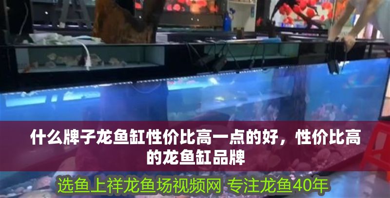 什么牌子龍魚缸性價比高一點的好，性價比高的龍魚缸品牌