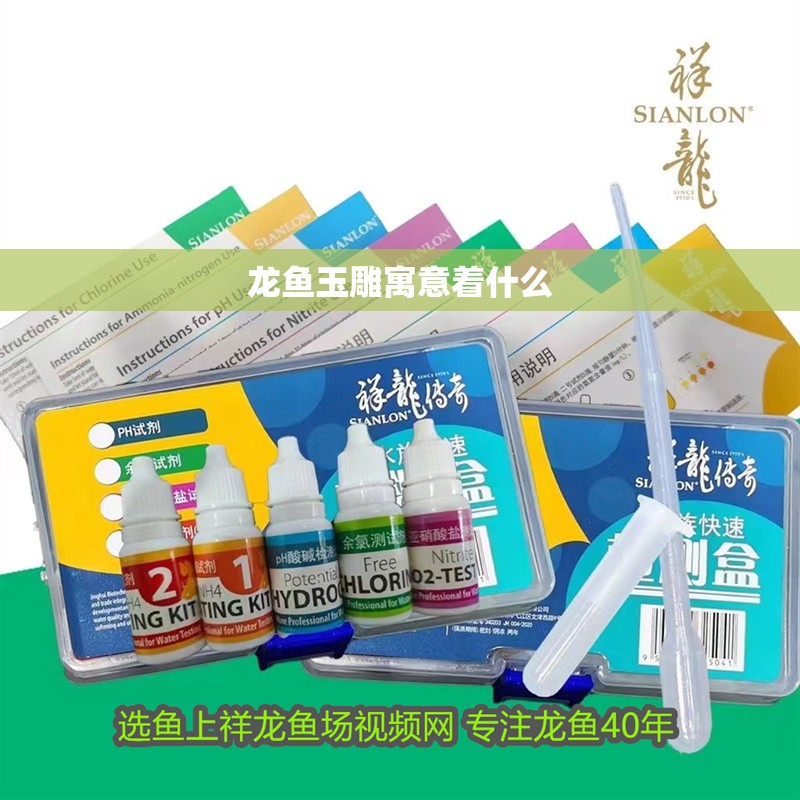龍魚玉雕寓意著什么