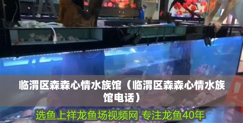 臨渭區(qū)森森心情水族館（臨渭區(qū)森森心情水族館電話） 臨渭區(qū)森森心情水族館（臨渭區(qū)森森心情水族館電話） 全國水族館企業(yè)名錄 第2張