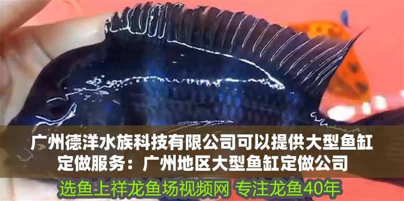 廣州德洋水族科技有限公司可以提供大型魚缸定做服務：廣州地區大型魚缸定做公司