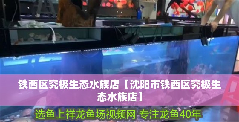 鐵西區究極生態水族店【沈陽市鐵西區究極生態水族店】