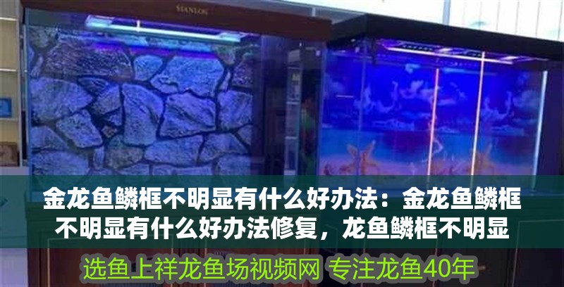 金龍魚鱗框不明顯有什么好辦法:金龍魚鱗框不明顯有什么好辦法修復,龍魚鱗框不明顯 水族問答 金龍魚鱗框不明顯有什么好辦法:金龍魚鱗框不明顯有什么好辦法修復,龍魚鱗框不明顯 金龍魚鱗框不明顯有什么好辦法:金龍魚鱗框不明顯有什么好辦法修復,龍魚鱗框不明顯 水族問答