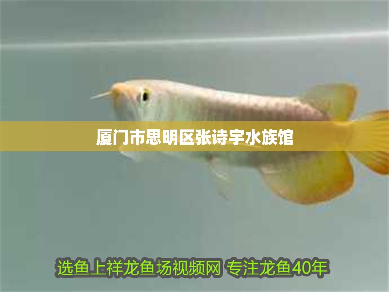廈門市思明區張詩宇水族館