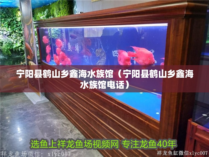 寧陽縣鶴山鄉鑫海水族館（寧陽縣鶴山鄉鑫海水族館電話） 寧陽縣鶴山鄉鑫海水族館（寧陽縣鶴山鄉鑫海水族館電話） 全國水族館企業名錄 第2張