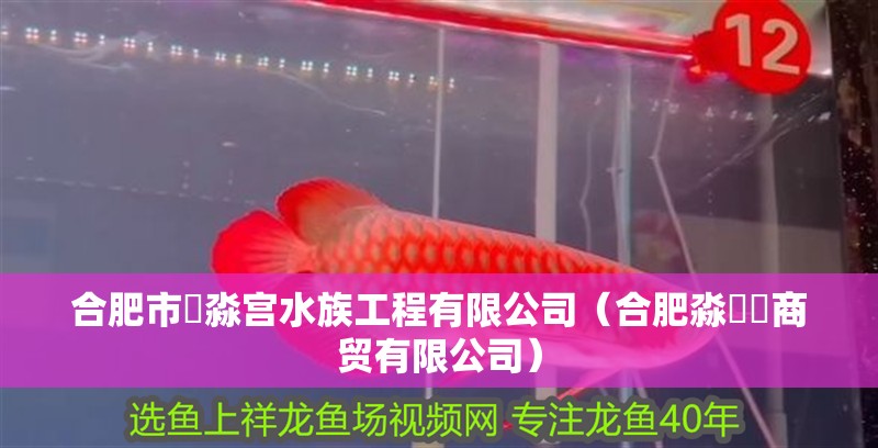 合肥市鱻淼宮水族工程有限公司（合肥淼犇骉商貿有限公司）