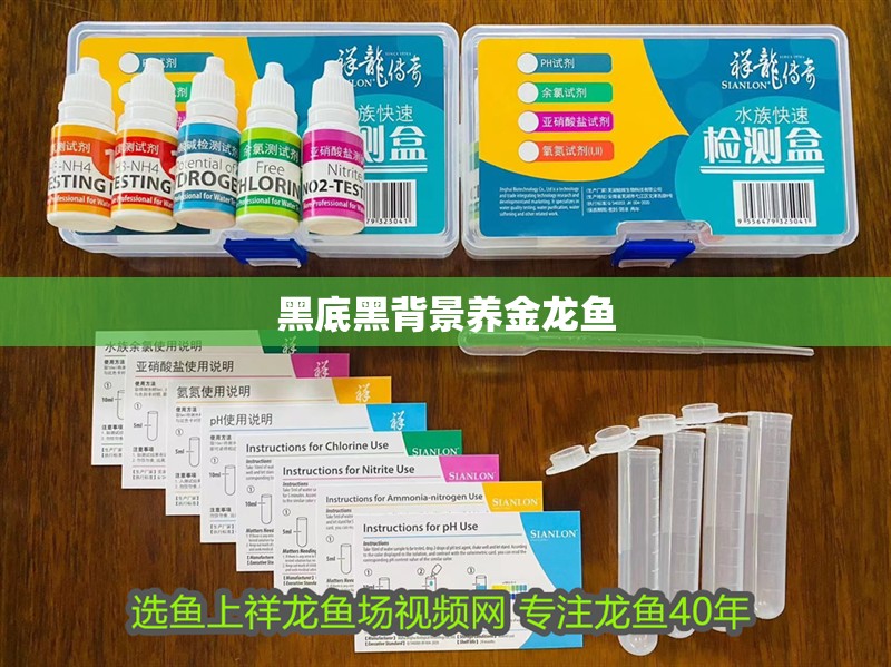 黑底黑背景養金龍魚