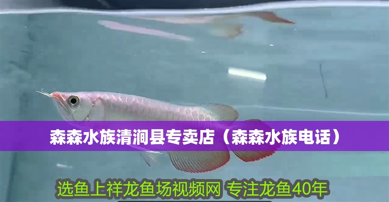 森森水族清澗縣專賣店（森森水族電話）