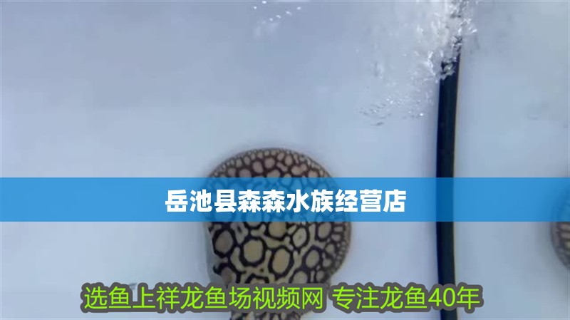 岳池縣森森水族經營店