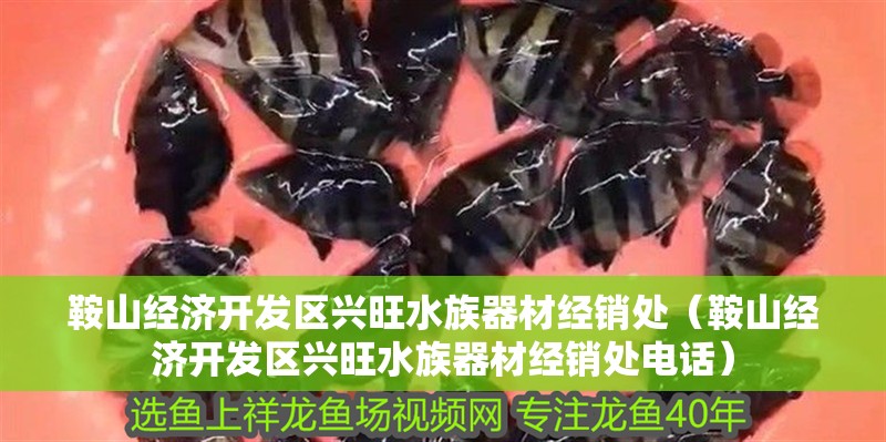 鞍山經(jīng)濟(jì)開發(fā)區(qū)興旺水族器材經(jīng)銷處（鞍山經(jīng)濟(jì)開發(fā)區(qū)興旺水族器材經(jīng)銷處電話） 鞍山經(jīng)濟(jì)開發(fā)區(qū)興旺水族器材經(jīng)銷處（鞍山經(jīng)濟(jì)開發(fā)區(qū)興旺水族器材經(jīng)銷處電話） 全國水族館企業(yè)名錄 第2張