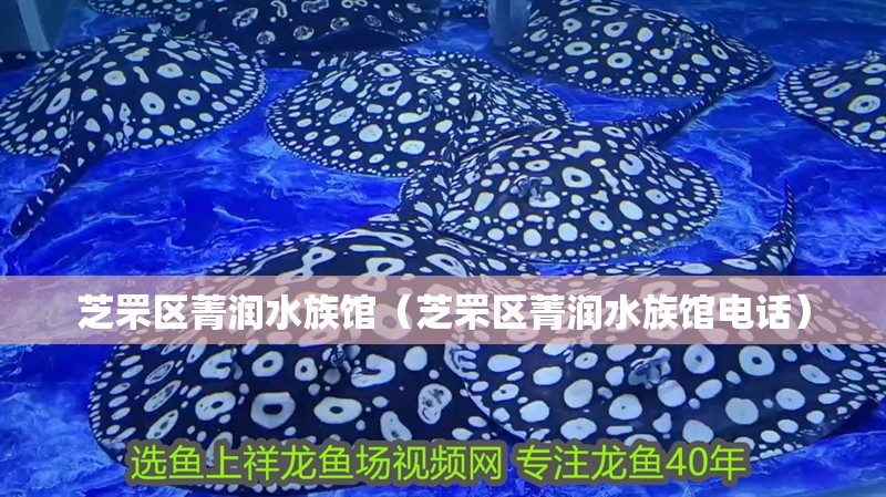 芝罘區(qū)菁潤(rùn)水族館（芝罘區(qū)菁潤(rùn)水族館電話）