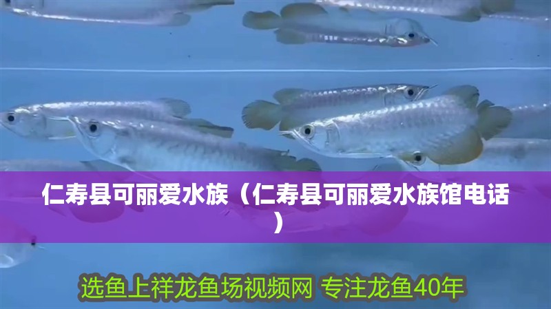 仁壽縣可麗愛水族（仁壽縣可麗愛水族館電話）